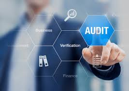 Auditing Skills for Oil, Gas & Petrochemical Companies